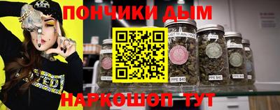 крисы Краснознаменск