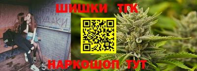крисы Краснознаменск